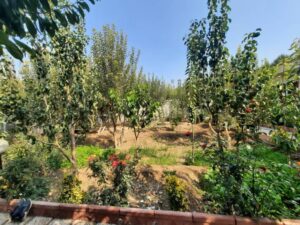 1200 متر باغ ویلا در شهریار با امکانات کامل و سند تک برگ