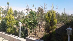 باغ ویلای 1220متری در ملارد