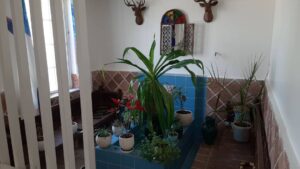 خرید باغ ویلا در ملارد ویلا