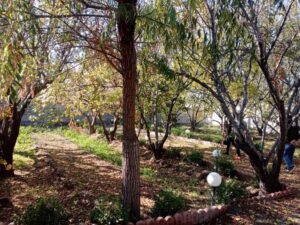 2000متر چهاردیواری خوش نقشه در شهریار