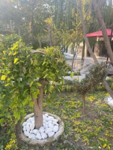 خرید باغ ویلا لوکس فول امکانات در بهترین لوکیشن شهریار
