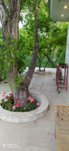 1500متر باغ ویلا مشجر و مثمر در منطقه خوش اب و هوای شهریار