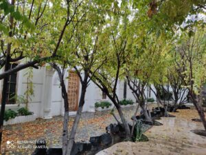 1000متر باغ ویلا لوکس در منطقه خوش اب و هوای شهریار