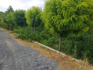 باغچه 975متر مشجر و مثمر در منطقه خوش اب و هوای شهریار