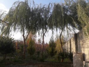 950متر باغ چهاردیواری در منطقه خوش اب و هوای شهریار