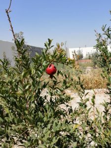 520متر چهاردیواری در منطقه خوش اب و هوای شهریار