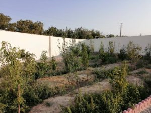 520متر چهاردیواری در منطقه خوش اب و هوای شهریار