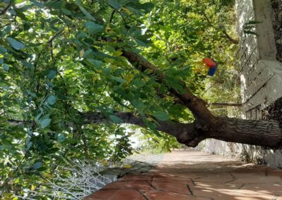 خرید باغ ویلای لوکس در شهریار