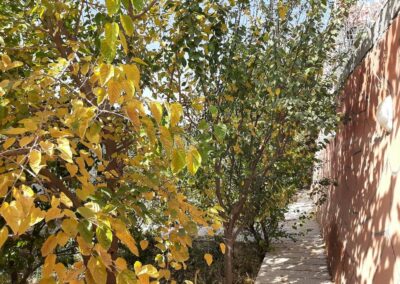 خرید باغ ویلای لوکس در شهریار