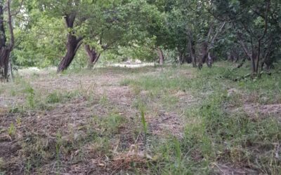 900متر 4دیواری مناسب برای سرمایه گذاری