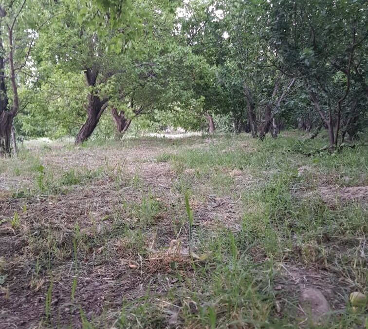 900متر 4دیواری مناسب برای سرمایه گذاری
