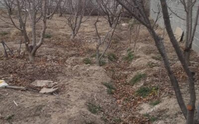 400متر چهاردیواری در منطقه خوش اب و هوای شهریار