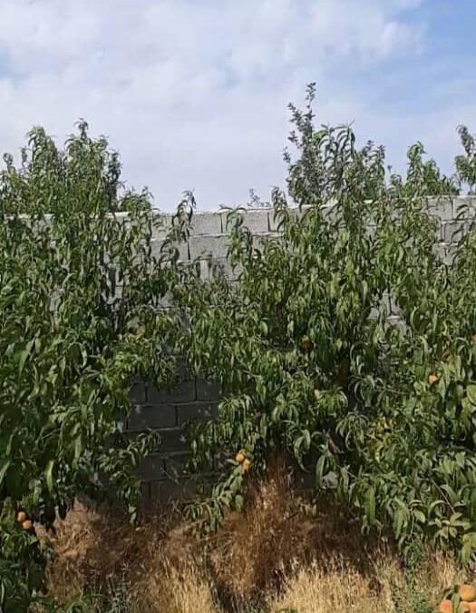 فروش 950متر باغ چهار دیواری در بهترین لوکیشن شهریار