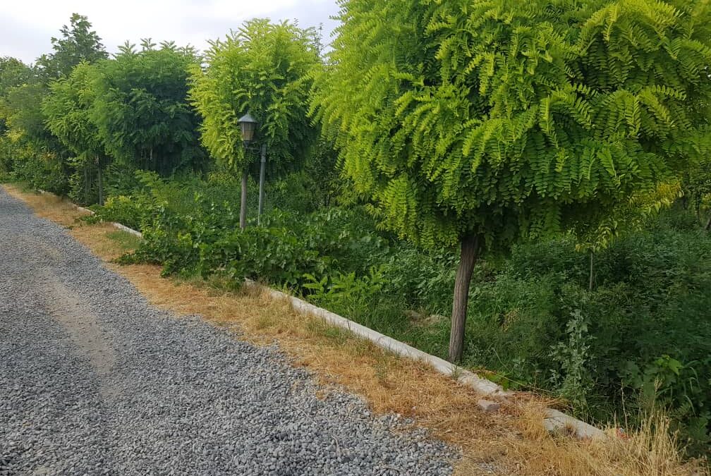 باغچه 975متر مشجر و مثمر در منطقه خوش اب و هوای شهریار