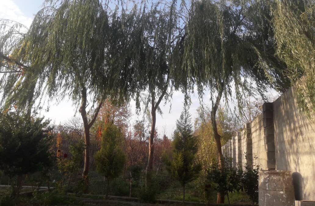 فروش 500متر باغچه در منطقه خوش اب و هوای شهریار