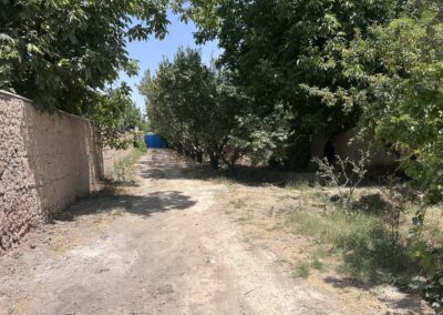 فروش باغ سند دار در اندیشه