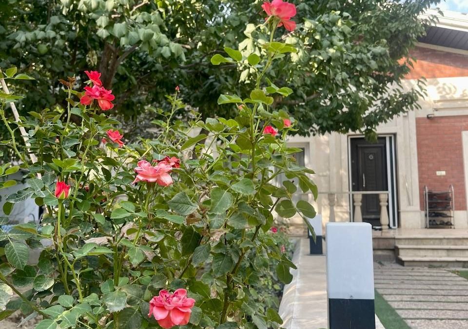 رهن آپارتمان در اندیشه
